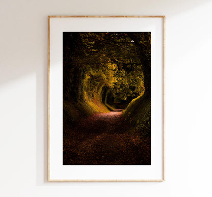 Halnaker Tree Tunnel Photography Print - West Sussex Photography Prints - Wall Art -  Frame and Canvas Options - Portrait  - UK