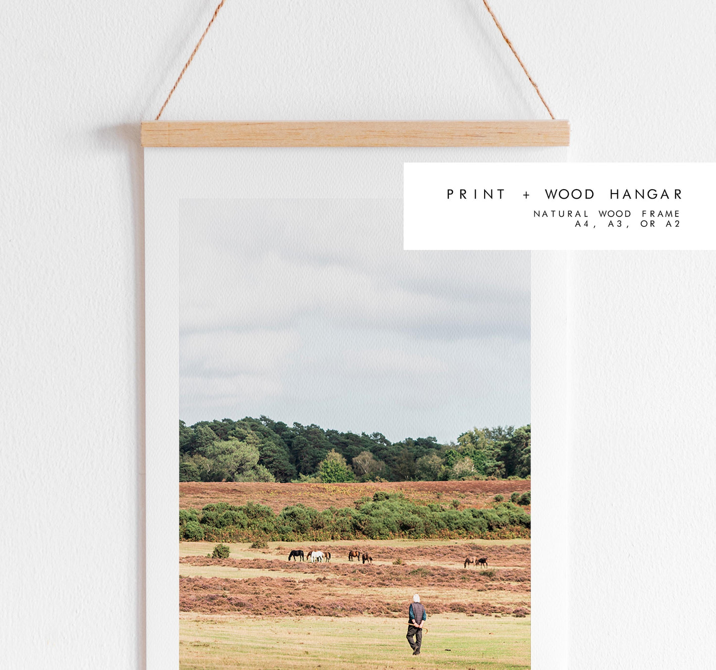 New Forest Photography Print - Hampshire Photography Prints - Wall Art -  Frame and Canvas Options - Portrait  - UK