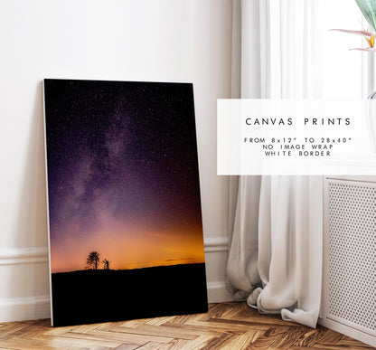 Milky Way Photography Print - New Forest - Hampshire Photography Prints - Wall Art -  Frame and Canvas Options - Portrait  - UK