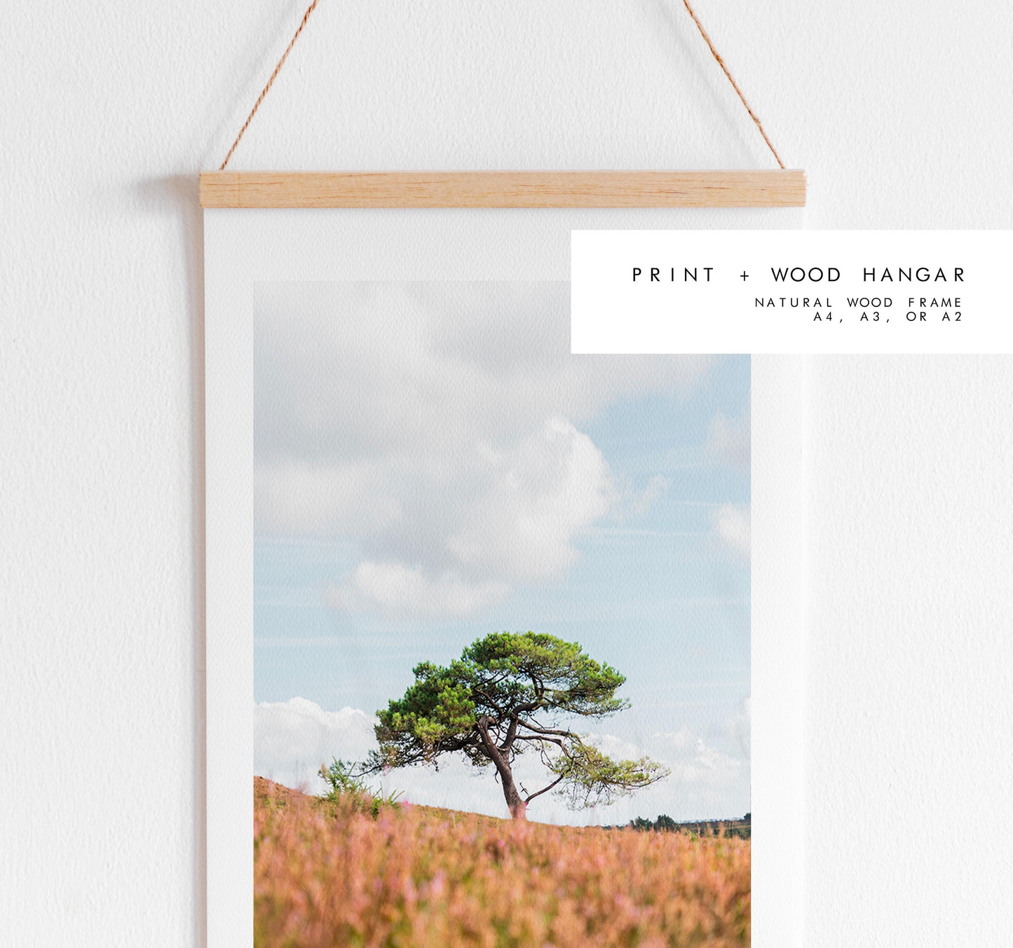 Lone Tree Photography Print - New Forest - Hampshire Photography Prints - Wall Art -  Frame and Canvas Options - Portrait  - UK
