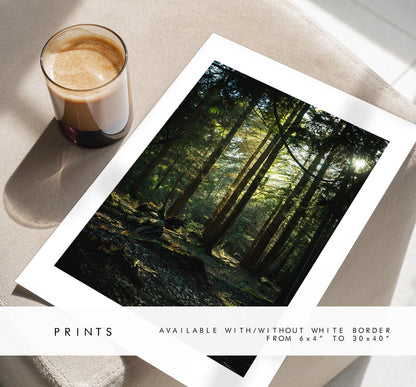 New Forest Photography Print - Hampshire Photography Prints - Wall Art -  Frame and Canvas Options - Portrait  - UK