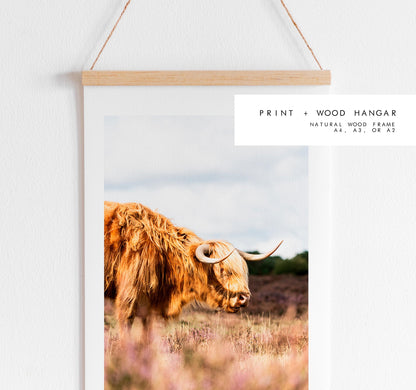 Highland Cow Photography Print - New Forest - Hampshire Photography Prints - Wall Art -  Frame and Canvas Options - Portrait  - UK