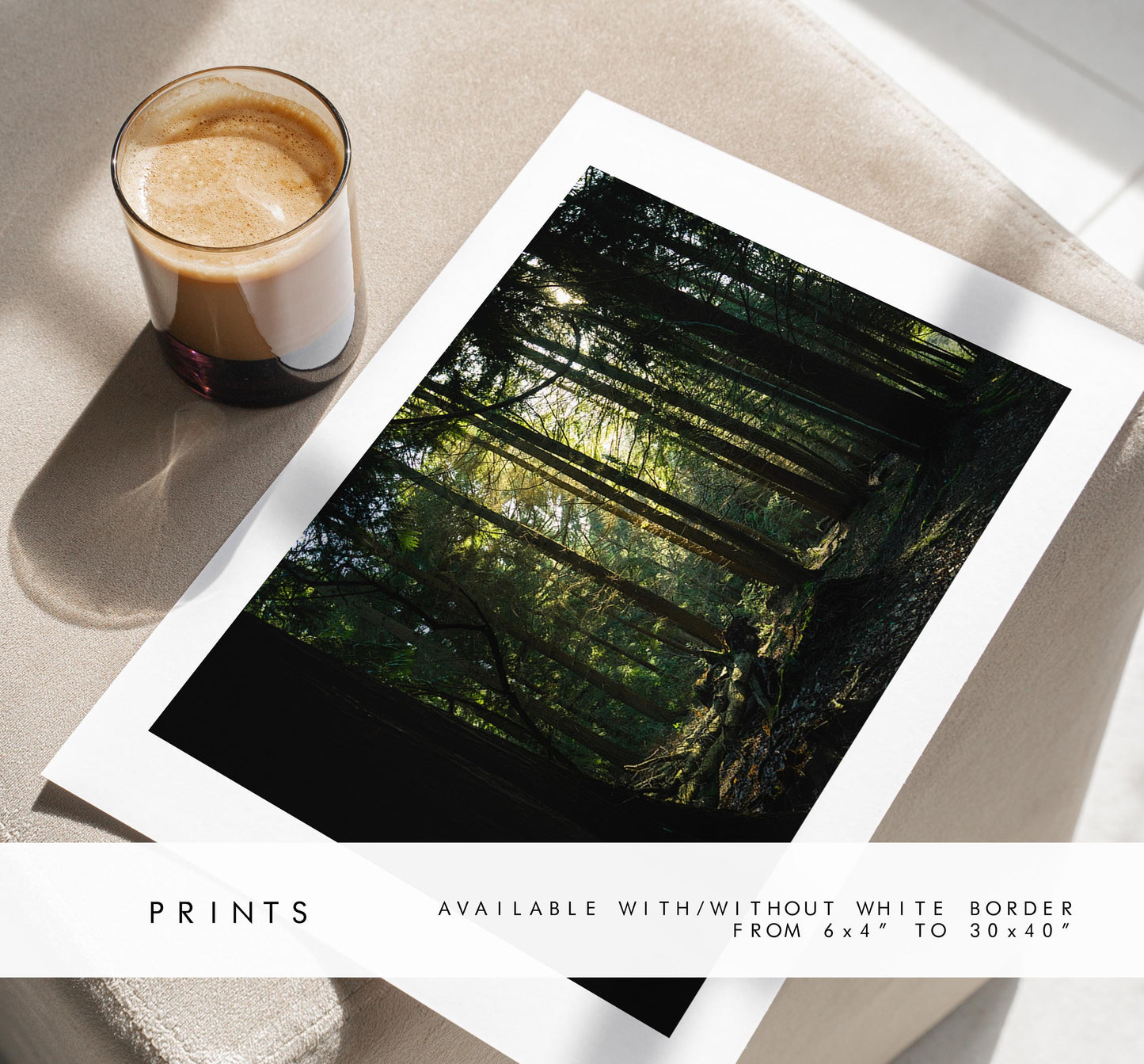Forest Photography Print - New Forest - Hampshire Photography Prints - Wall Art -  Frame and Canvas Options - Landscape  - UK