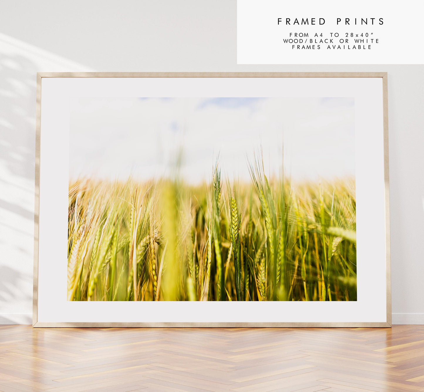 Wheat Field Photography Print - West Sussex Photography Prints - Wall Art -  Frame and Canvas Options - Landscape  - UK