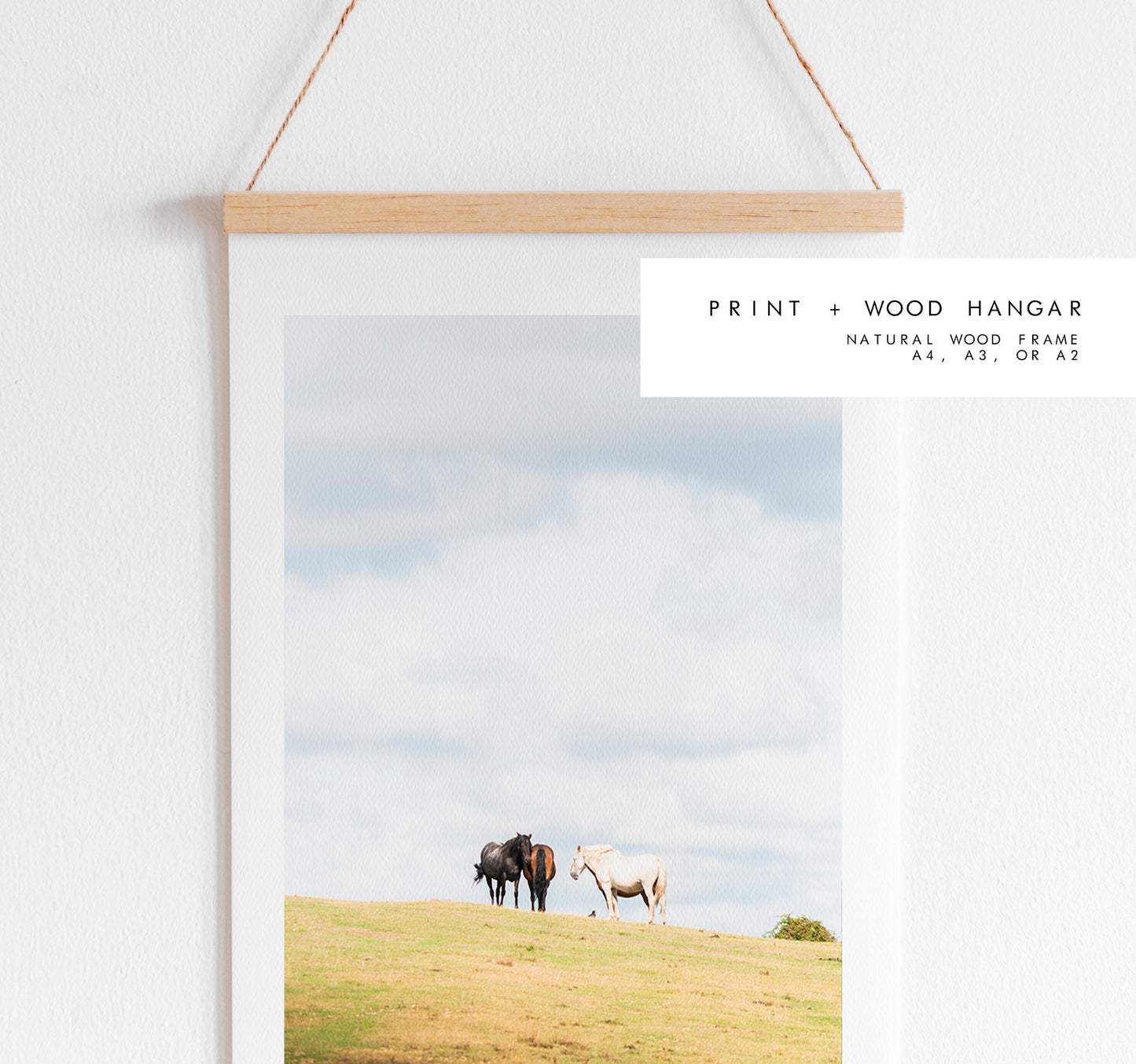 New Forest Pony Photography Print - Hampshire Photography Prints - Wall Art -  Frame and Canvas Options - Portrait  - UK