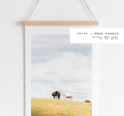 New Forest Pony Photography Print - Hampshire Photography Prints - Wall Art -  Frame and Canvas Options - Portrait  - UK