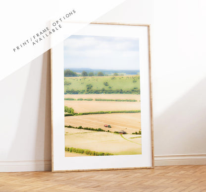 South Downs Photography Print - Hampshire Photography Prints - Wall Art -  Frame and Canvas Options - Portrait  - UK