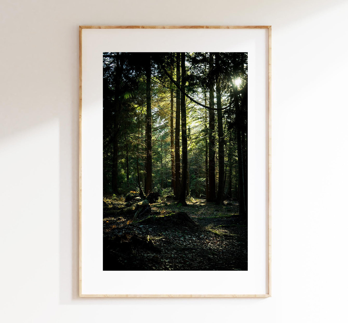 New Forest Photography Print - Hampshire Photography Prints - Wall Art -  Frame and Canvas Options - Portrait  - UK
