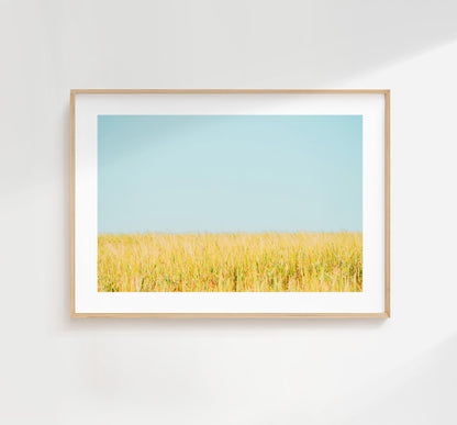 Field Photography Print - West Sussex Photography Prints - Wall Art -  Frame and Canvas Options - Landscape  - UK