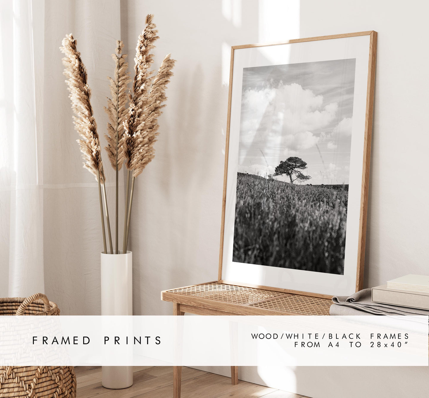 Black and White Tree Photography Print - New Forest - Hampshire Photography Prints - Wall Art -  Frame and Canvas Options - Portrait  - UK