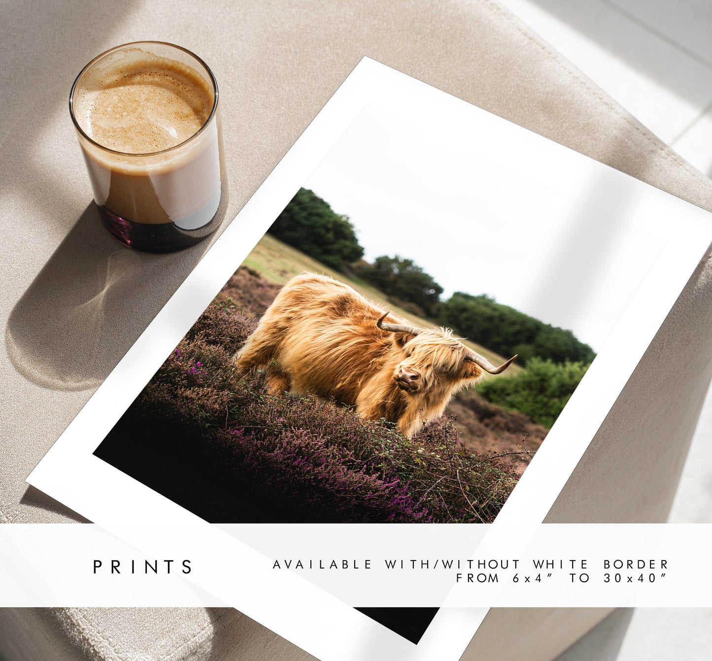 Highland Cow Photography Print - New Forest - Hampshire Photography Prints - Wall Art -  Frame and Canvas Options - Portrait  - UK