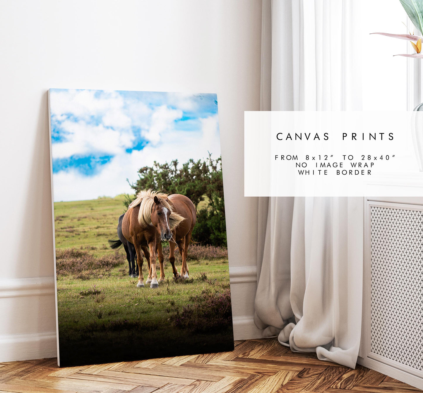 New Forest Pony Photography Print - Hampshire Photography Prints - Wall Art -  Frame and Canvas Options - Portrait  - UK