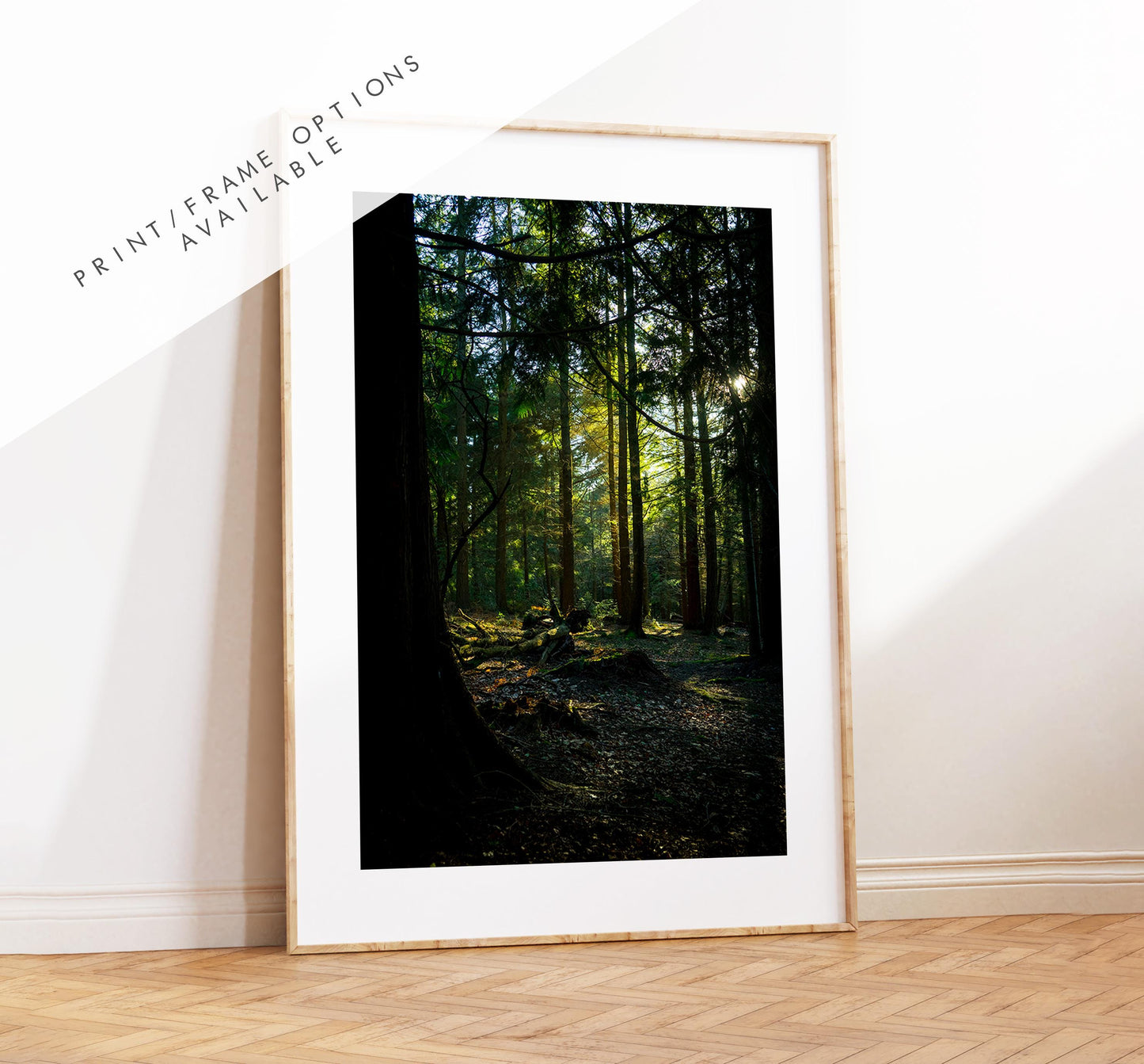 Forest Photography Print - New Forest - Hampshire Photography Prints - Wall Art -  Frame and Canvas Options - Portrait  - UK