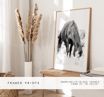 Horse Black and White Photography Print - New Forest - Hampshire Photography Prints - Wall Art -  Frame and Canvas Options - Portrait  - UK