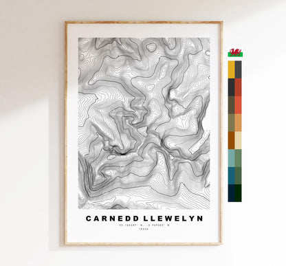 Carnedd Llewelyn Print - Contour Map - Snowdonia - Wales - Topographic Map - Print - Poster - Wall Art - Carnedd Llywelyn - Carneddau