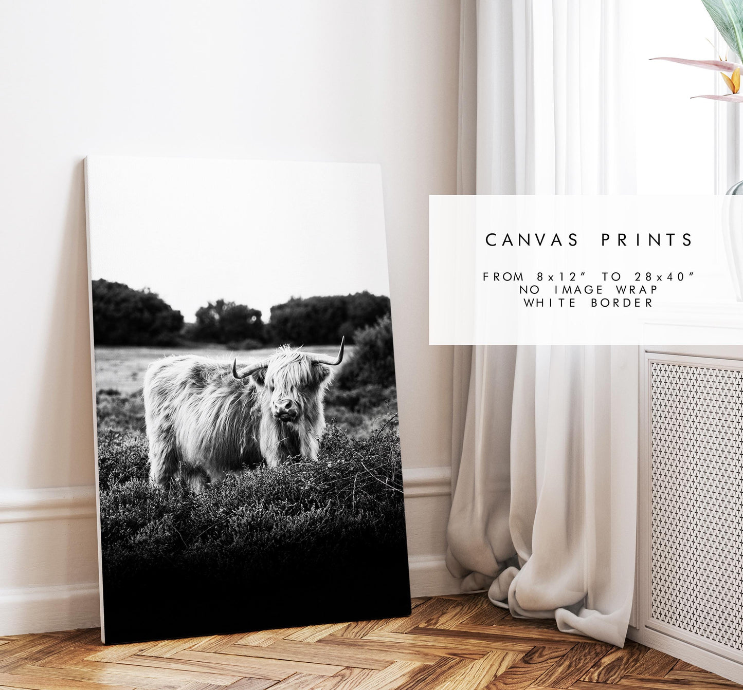 Highland Cow Black and White Photography Print - New Forest - Hampshire Photography Prints - Wall Art -  Frame and Canvas Options - Portrait