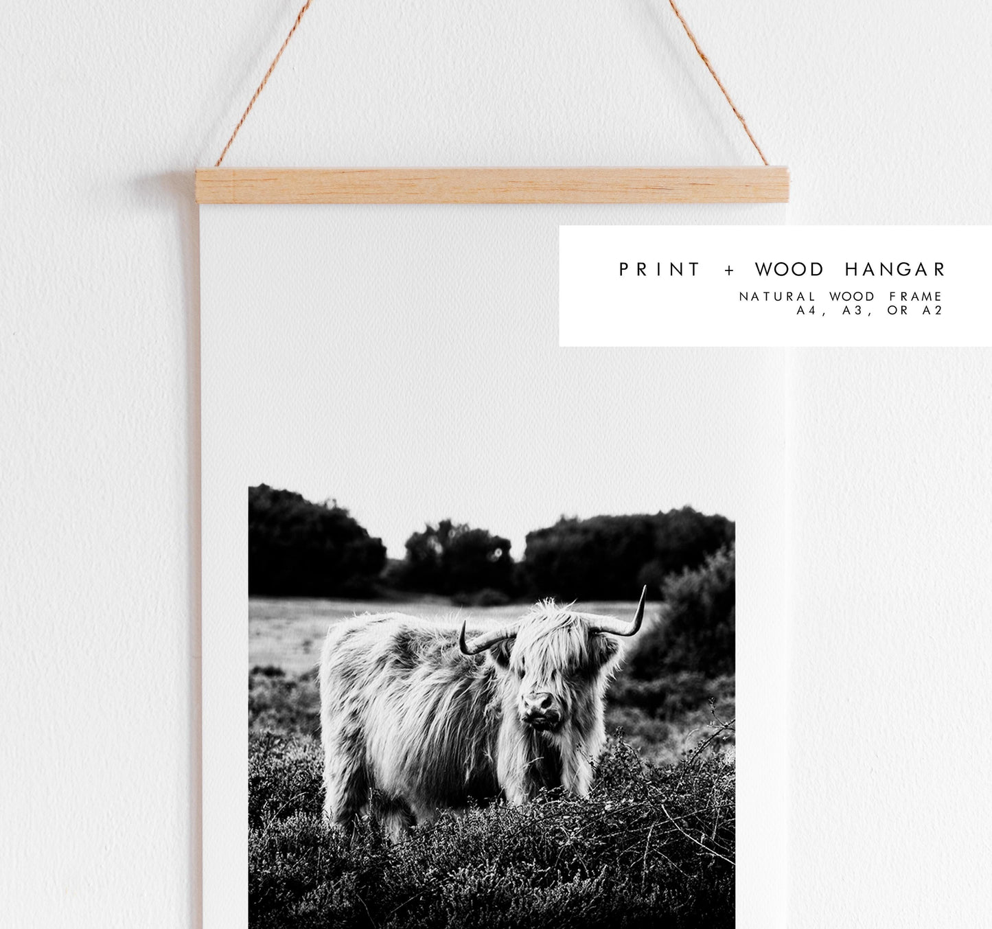 Highland Cow Black and White Photography Print - New Forest - Hampshire Photography Prints - Wall Art -  Frame and Canvas Options - Portrait