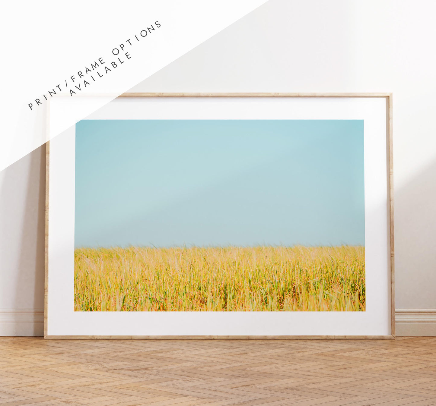 Field Photography Print - West Sussex Photography Prints - Wall Art -  Frame and Canvas Options - Landscape  - UK