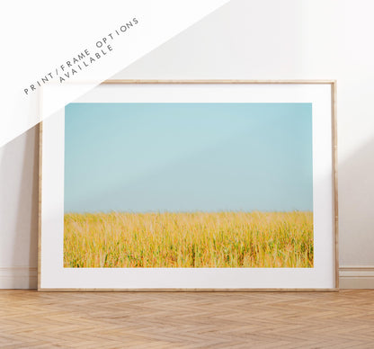 Field Photography Print - West Sussex Photography Prints - Wall Art -  Frame and Canvas Options - Landscape  - UK