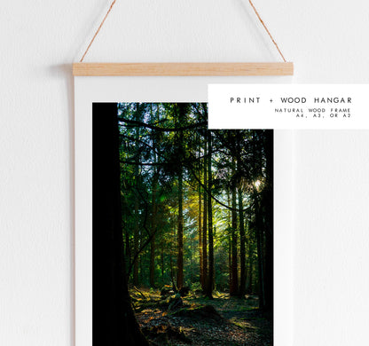Forest Photography Print - New Forest - Hampshire Photography Prints - Wall Art -  Frame and Canvas Options - Portrait  - UK