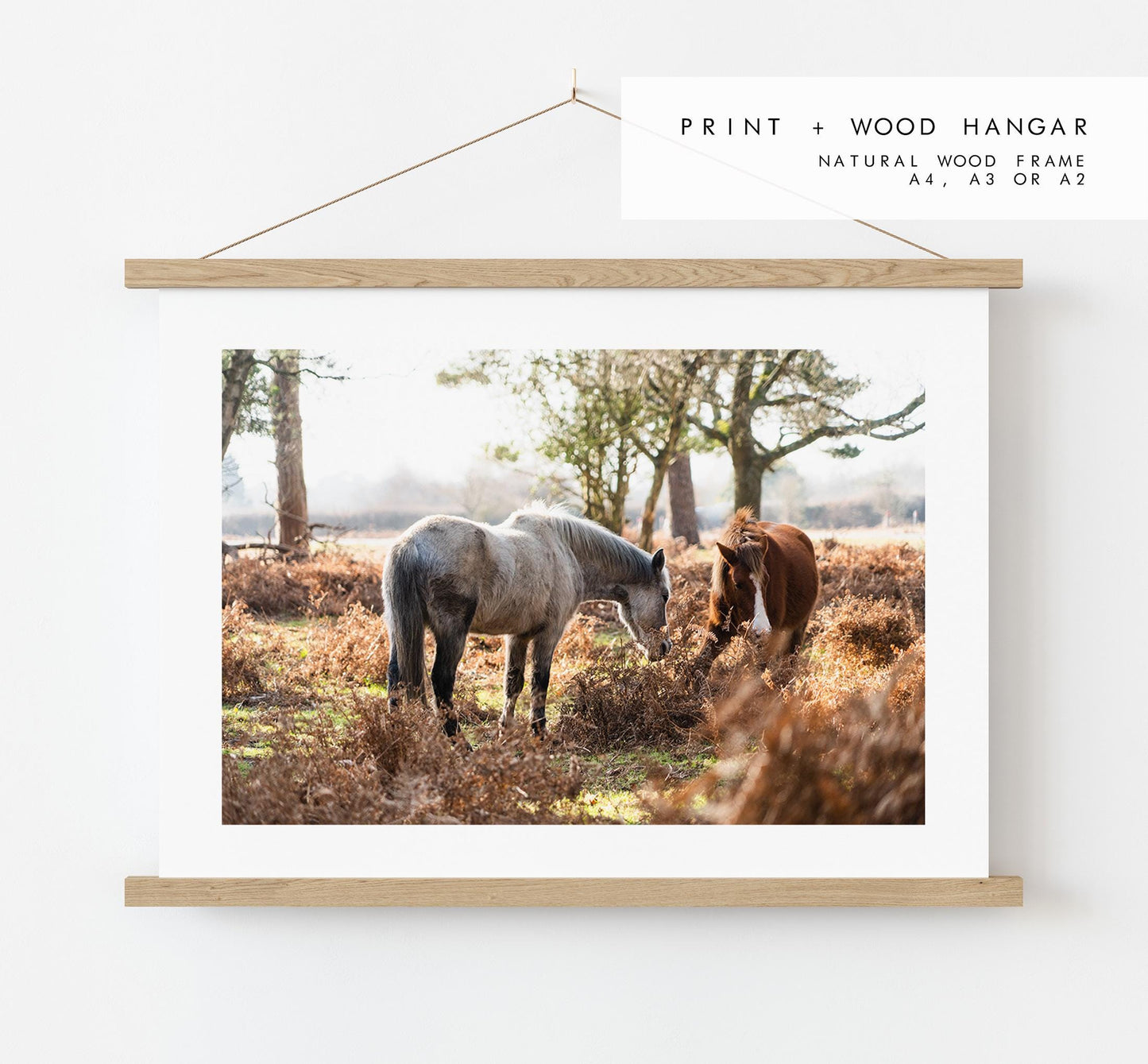 New Forest Ponies Photography Print - Hampshire Photography Prints - Wall Art -  Frame and Canvas Options - Landscape  - UK