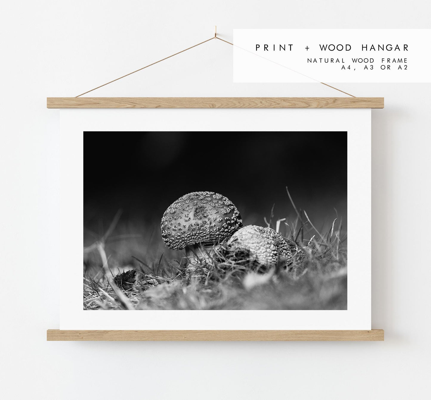 Mushroom Black and White Photography Print - Hampshire Photography Prints - Wall Art -  Frame and Canvas Options - Landscape  - UK