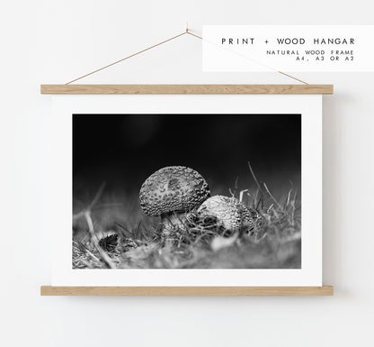 Mushroom Black and White Photography Print - Hampshire Photography Prints - Wall Art -  Frame and Canvas Options - Landscape  - UK