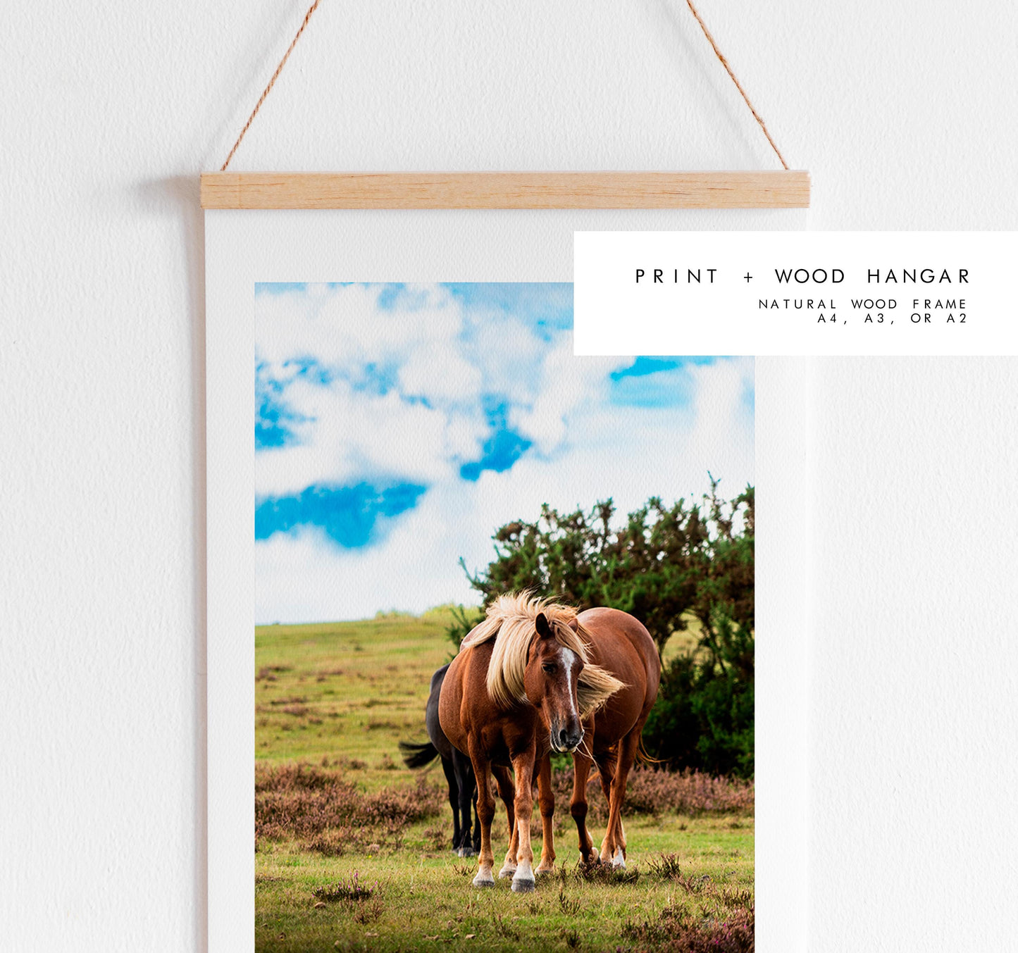 New Forest Pony Photography Print - Hampshire Photography Prints - Wall Art -  Frame and Canvas Options - Portrait  - UK