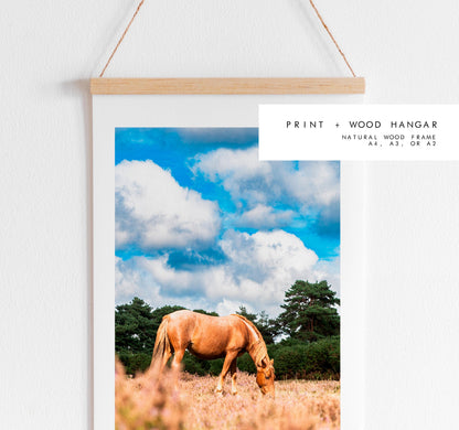 New Forest Pony Photography Print - Hampshire Photography Prints - Wall Art -  Frame and Canvas Options - Portrait  - UK
