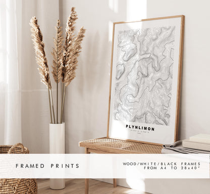 Plynlimon Print - Contour Map - Cambrian Mountains - Wales - Topographic Map - Print - Poster - Wall Art - Plynlimon Poster - Pumlumon Fawr