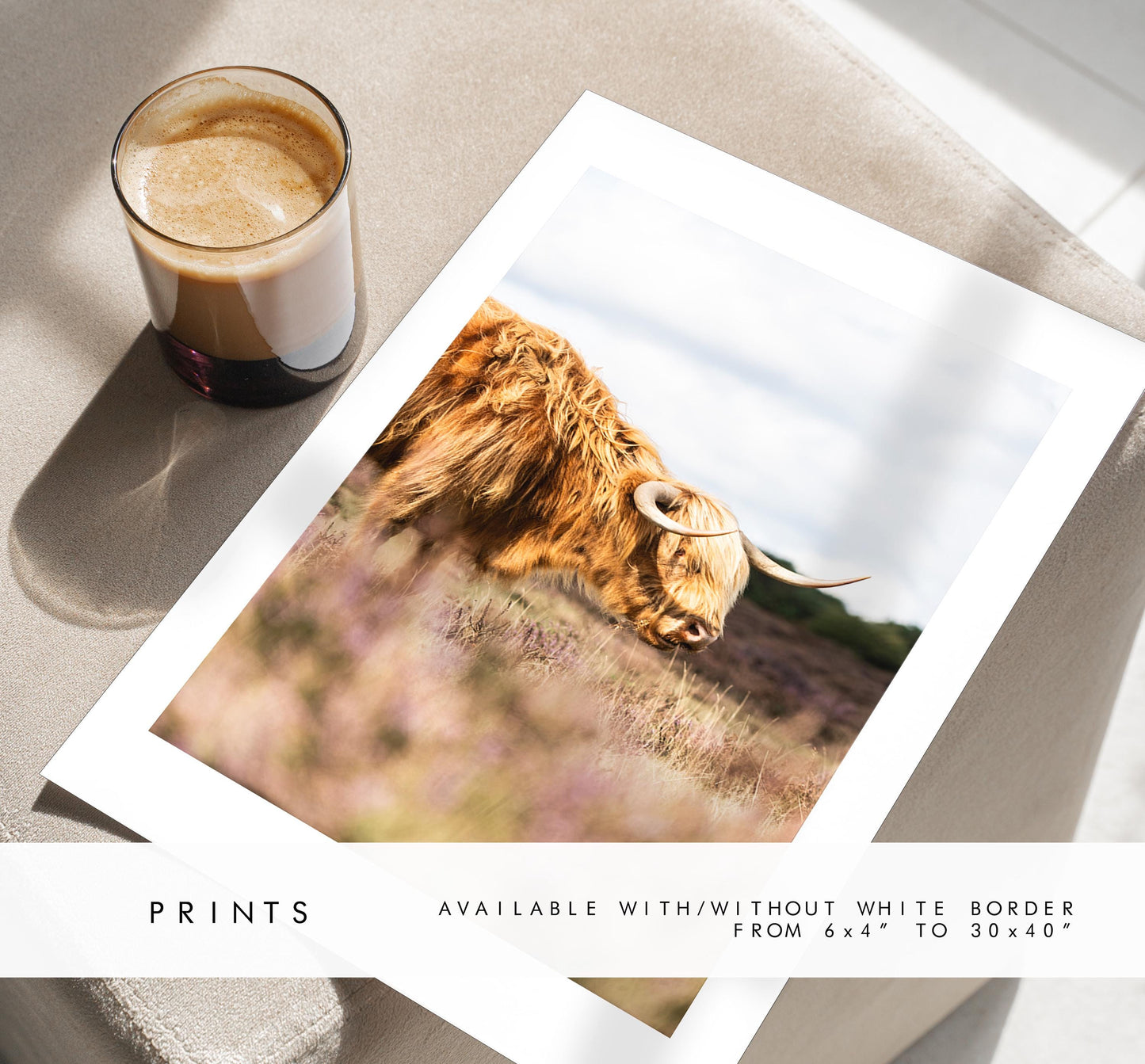 Highland Cow Photography Print - New Forest - Hampshire Photography Prints - Wall Art -  Frame and Canvas Options - Portrait  - UK