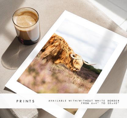 Highland Cow Photography Print - New Forest - Hampshire Photography Prints - Wall Art -  Frame and Canvas Options - Portrait  - UK
