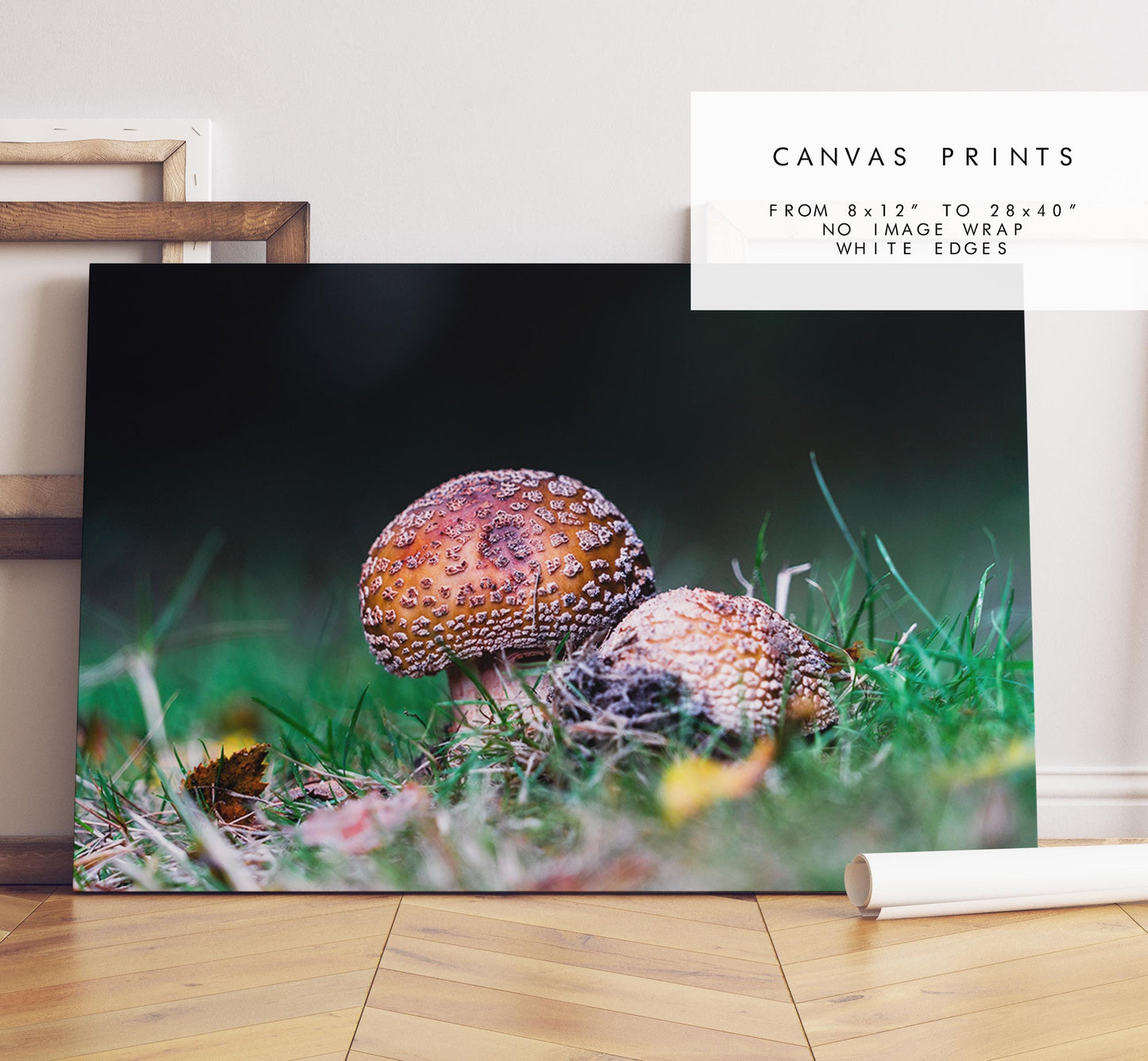 Funghi Photography Print - Hampshire Photography Prints - Wall Art -  Frame and Canvas Options - Landscape  - UK