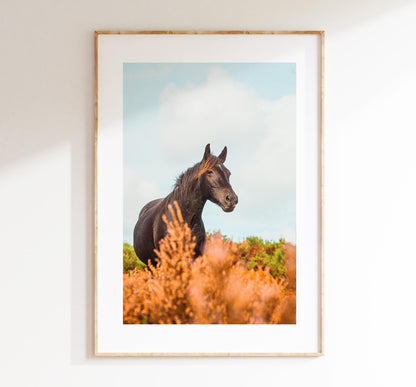 Horse Photography Print - New Forest - Hampshire Photography Prints - Wall Art -  Frame and Canvas Options - Portrait  - UK