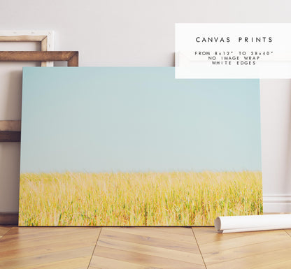 Field Photography Print - West Sussex Photography Prints - Wall Art -  Frame and Canvas Options - Landscape  - UK