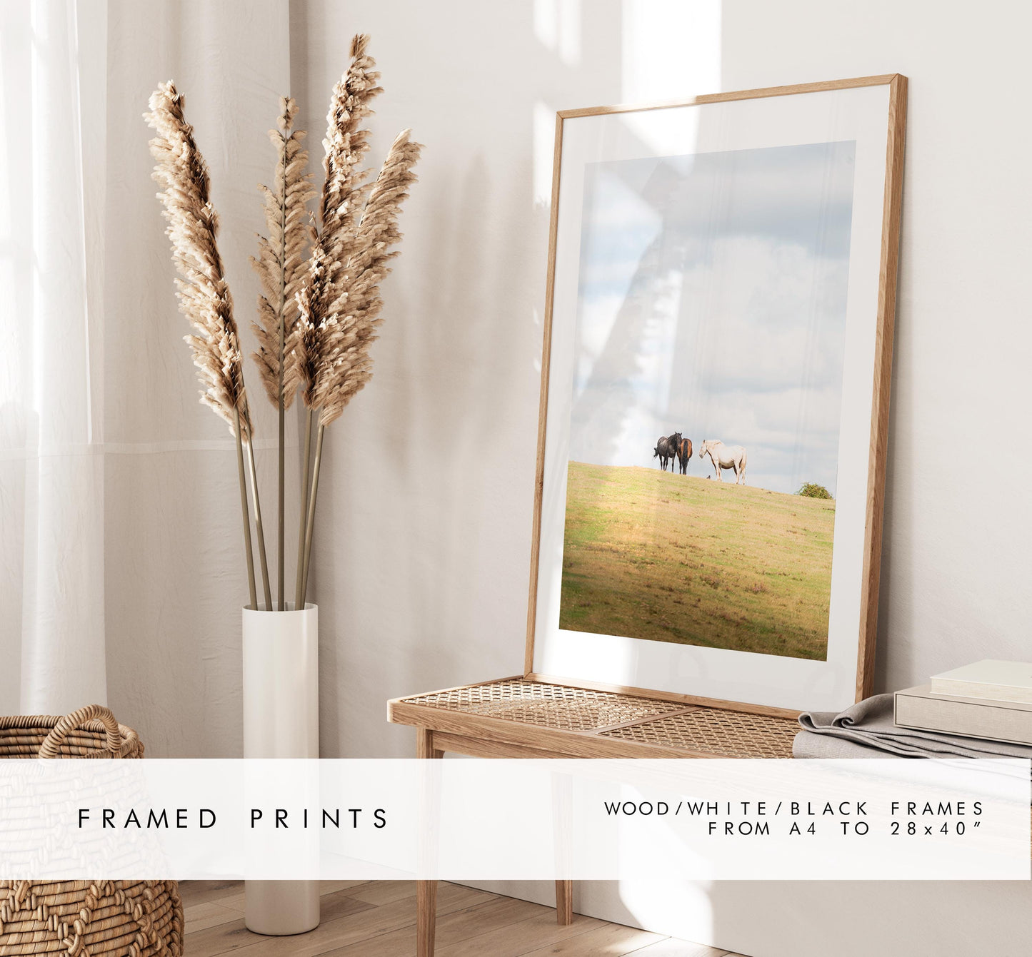New Forest Pony Photography Print - Hampshire Photography Prints - Wall Art -  Frame and Canvas Options - Portrait  - UK