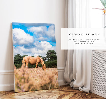 New Forest Pony Photography Print - Hampshire Photography Prints - Wall Art -  Frame and Canvas Options - Portrait  - UK