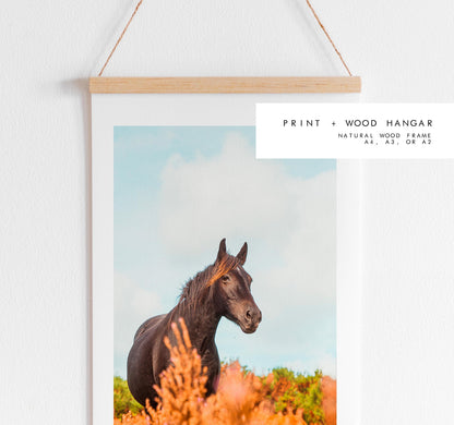 Horse Photography Print - New Forest - Hampshire Photography Prints - Wall Art -  Frame and Canvas Options - Portrait  - UK