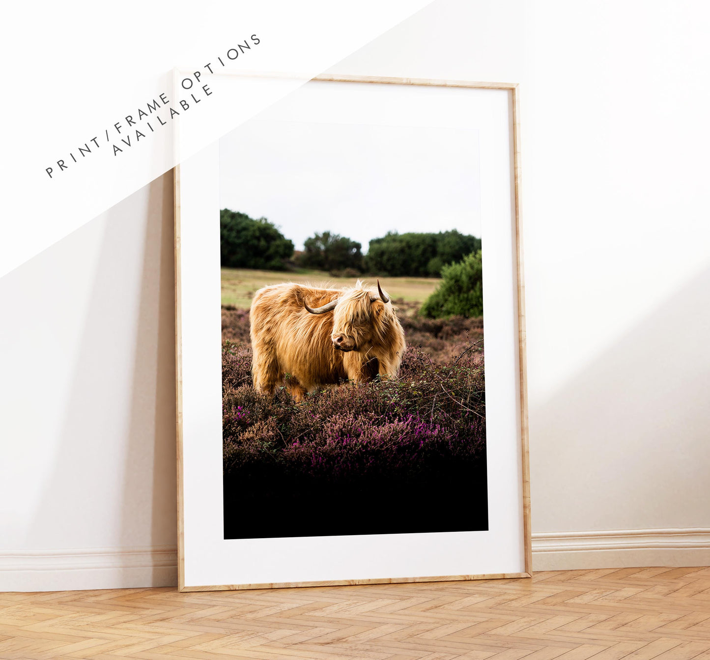 Highland Cow Photography Print - New Forest - Hampshire Photography Prints - Wall Art -  Frame and Canvas Options - Portrait  - UK