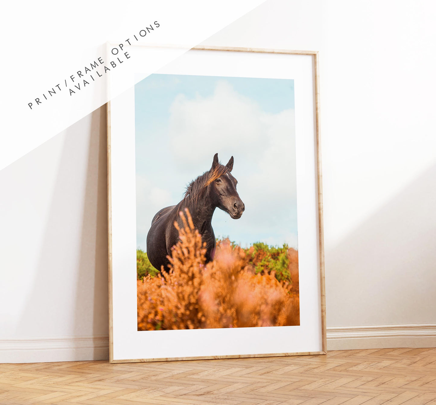 Horse Photography Print - New Forest - Hampshire Photography Prints - Wall Art -  Frame and Canvas Options - Portrait  - UK
