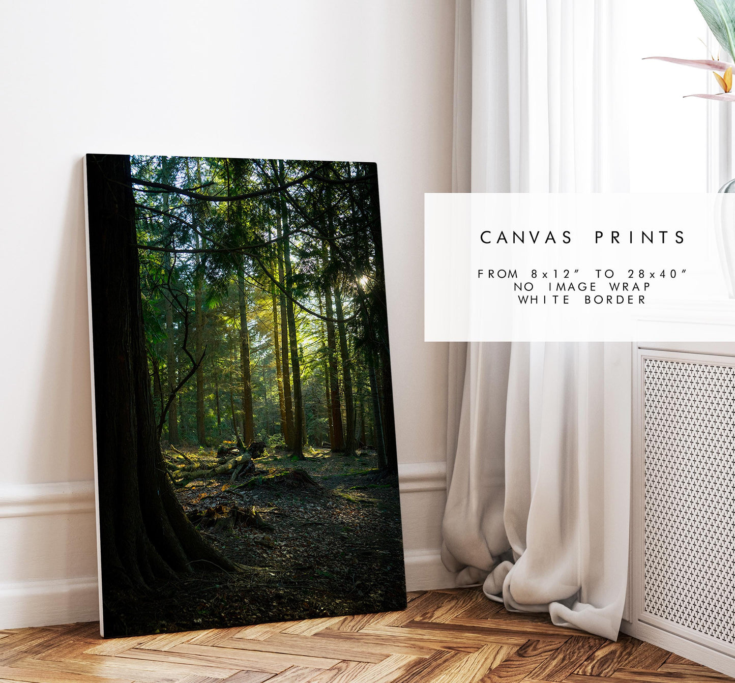 Forest Photography Print - New Forest - Hampshire Photography Prints - Wall Art -  Frame and Canvas Options - Portrait  - UK