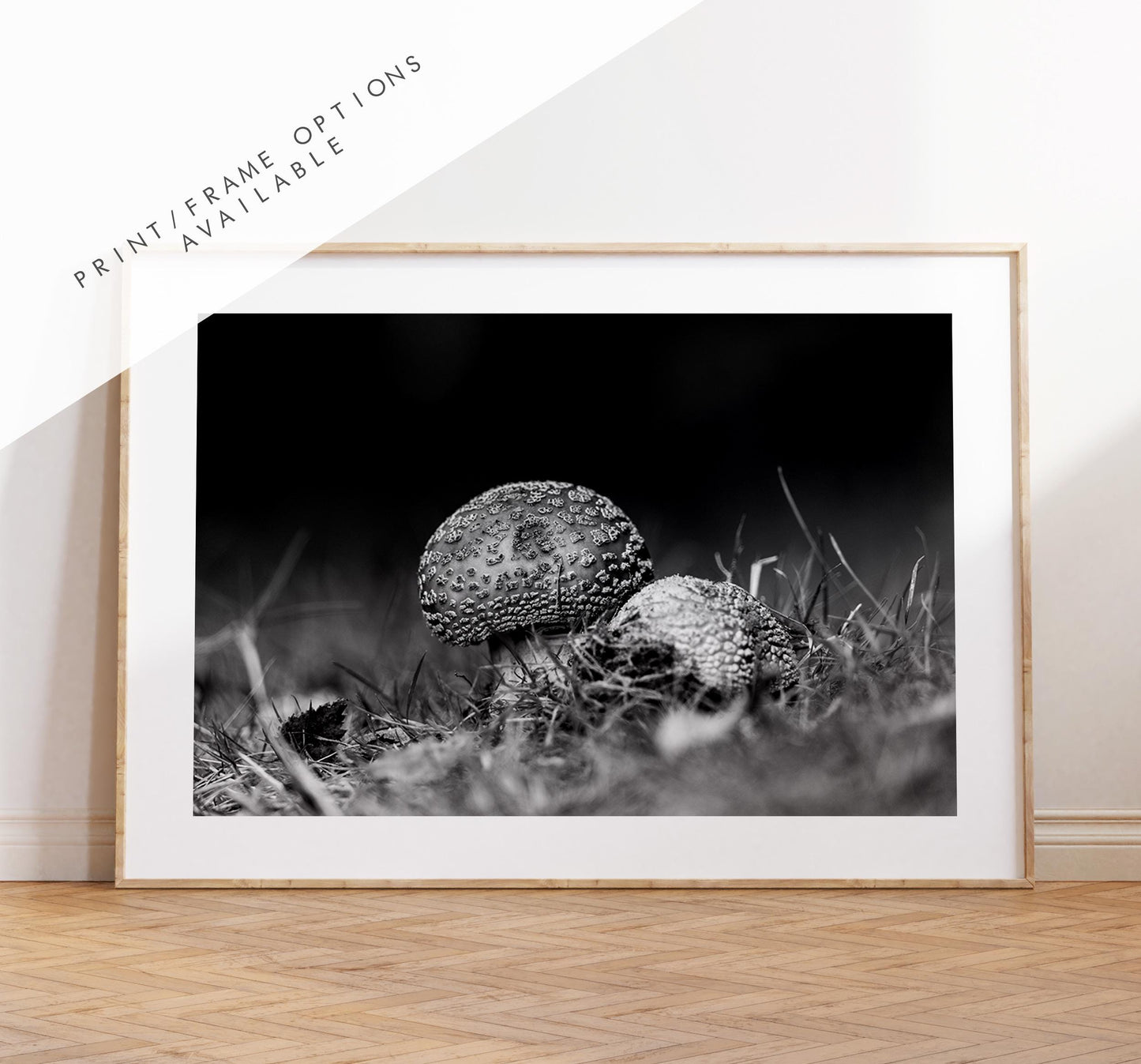 Mushroom Black and White Photography Print - Hampshire Photography Prints - Wall Art -  Frame and Canvas Options - Landscape  - UK