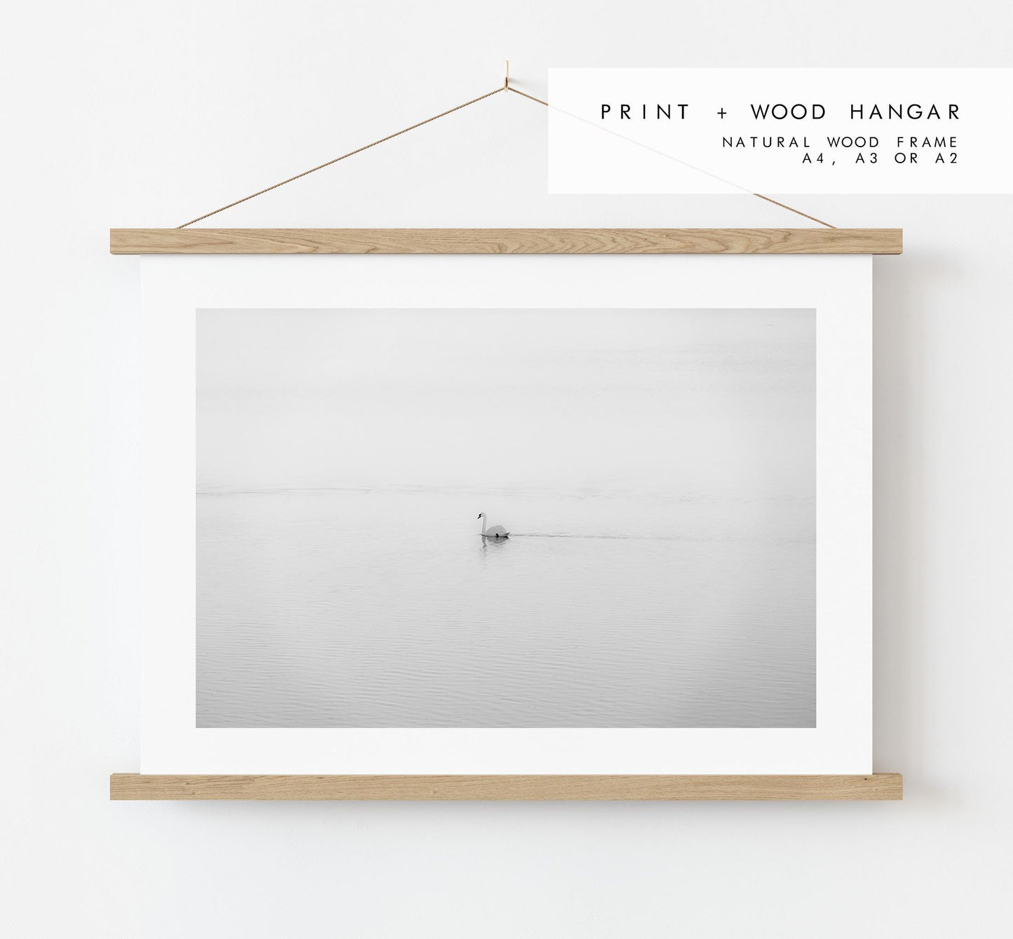 Swan Black and White Photography Print - Hampshire Photography Prints - Wall Art -  Frame and Canvas Options - Landscape  - UK