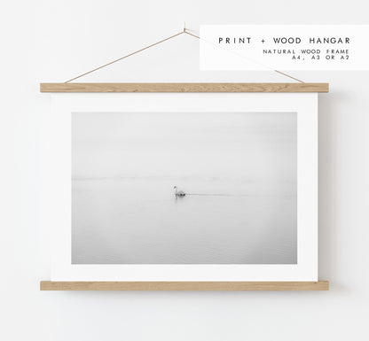 Swan Black and White Photography Print - Hampshire Photography Prints - Wall Art -  Frame and Canvas Options - Landscape  - UK