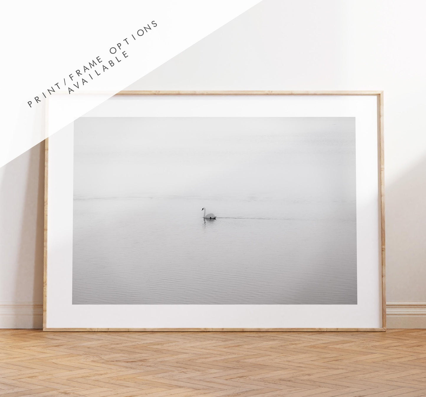 Swan Black and White Photography Print - Hampshire Photography Prints - Wall Art -  Frame and Canvas Options - Landscape  - UK