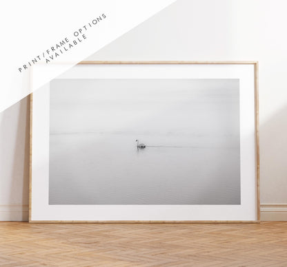 Swan Black and White Photography Print - Hampshire Photography Prints - Wall Art -  Frame and Canvas Options - Landscape  - UK