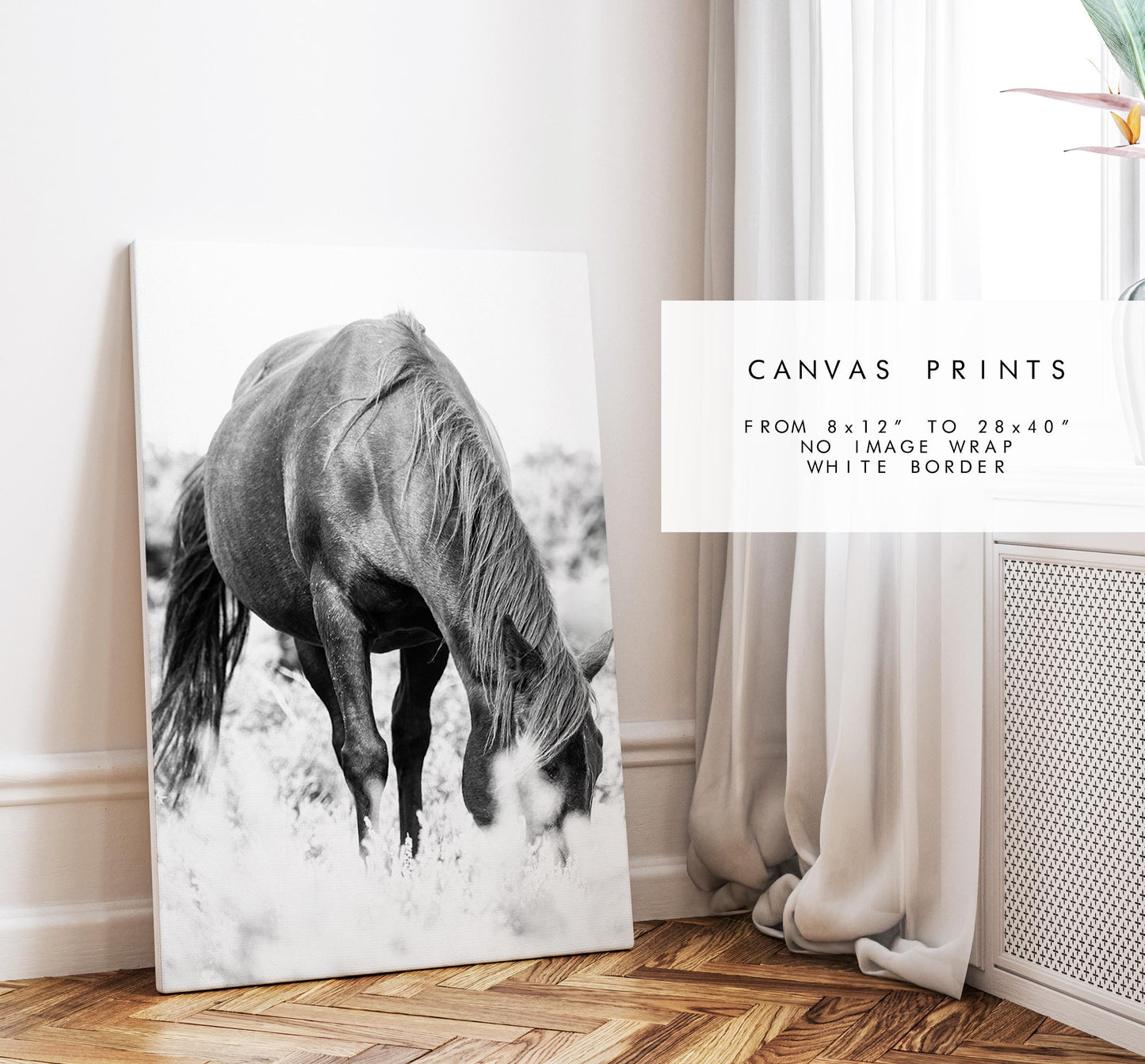 Horse Black and White Photography Print - New Forest - Hampshire Photography Prints - Wall Art -  Frame and Canvas Options - Portrait  - UK