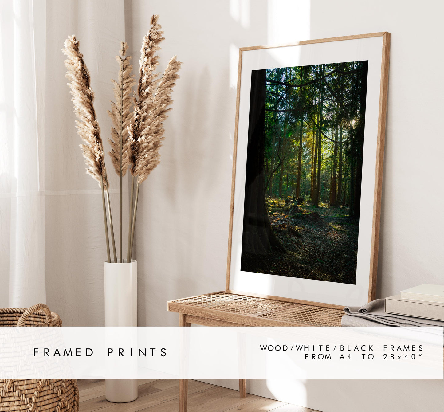 Forest Photography Print - New Forest - Hampshire Photography Prints - Wall Art -  Frame and Canvas Options - Portrait  - UK