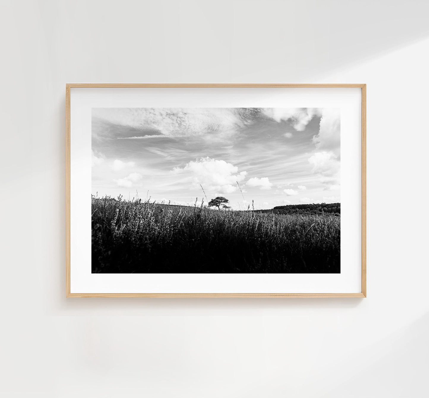 Lone Tree Black and White Photography Print - New Forest - Hampshire Photography Prints -  Frame and Canvas Options - Landscape  - UK