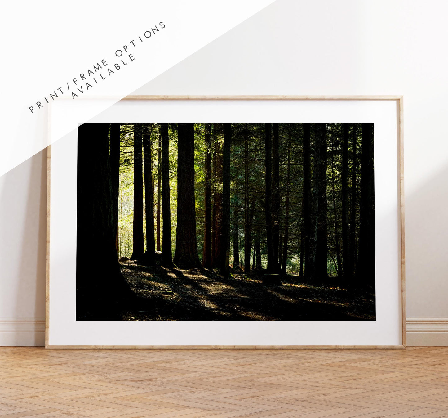 New Forest Photography Print - Hampshire Photography Prints - Wall Art -  Frame and Canvas Options - Landscape  - UK